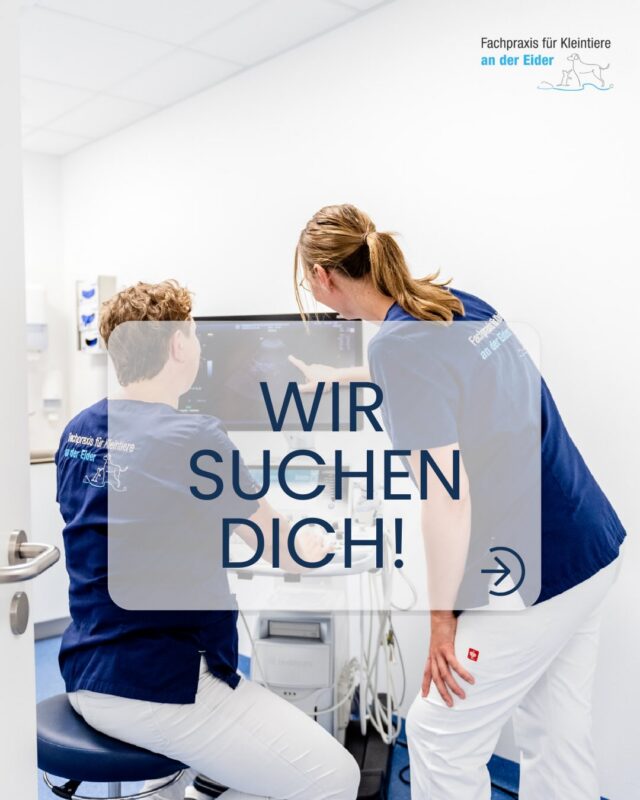 🐾 Dein Traumjob mit Tieren beginnt hier! 🩺
Du suchst noch einen coolen Ausbildungsplatz für 2026?
Du liebst Tiere, übernimmst gern Verantwortung und wünschst dir ein familiäres Team, in dem du richtig viel lernen kannst?

Dann bist du bei uns genau richtig! 🙌
Wir bilden aus zur/zum Tiermedizinischen Fachangestellten (m/w/d) und freuen uns auf motivierte Nachwuchstalente.

📩 Bewirb dich jetzt und werde Teil unseres Teams!
Alle Infos findest du auf unserer Website oder schreib uns einfach eine DM.

#Ausbildung2026 #TFA #TiermedizinischeFachangestellte #Ausbildungsplatz #ArbeitenMitTieren JetztBewerben 🐶🐱