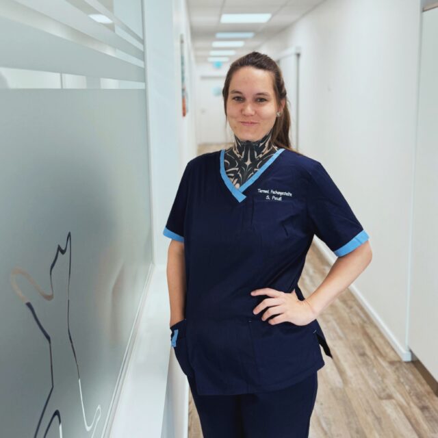 🐾 Herzlich willkommen, Sina-Marie Peuẞ! 🐾

Heute möchten wir euch unsere neue Kollegin vorstellen! 

Sina-Marie ist Tiermedizinische Fachangestellte, Hundephysiotherapeutin und Hundetrainerin, bringt bereits viele Jahre Erfahrung und vielseitige fachliche Expertise mit in unser Team.

Seit 2012 ist sie in der Kleintiermedizin tätig, seit 2017 arbeitet sie als Hundetrainerin und seit 2023 als selbstständige Hundephysiotherapeutin in eigener Praxis. Ihr besonderer Schwerpunkt liegt in der Orthopädie, Rehabilitation sowie in der Betreuung von Sport-, Dienst- und Gebrauchshunden. 🐶

Darüber hinaus ist Sina-Marie in der Forschung sowie als Dozentin und Referentin tätig und engagiert sich im internationalen fachlichen Austausch rund um Tiergesundheit, Bewegung und Rehabilitation.

Wir freuen uns sehr, dass sie ihre vielseitige Erfahrung und ihre fachliche Expertise nun bei uns einbringt und unser Team damit ganz besonders bereichert. 🩺🐾

Schön, dass du bei uns bist, Sina-Marie! 
Wir freuen uns auf die gemeinsame Zeit, spannende Fälle und viele neue Impulse!

👉 Ihr möchtet noch mehr über Sina-Maries Arbeit als Hundephysiotherapeutin erfahren? Dann schaut gerne auch auf ihrem eigenen Account vorbei: @hundephysiotherapiepeuss 🐕

Und jetzt seid ihr dran: 👇
Begrüßt Sina-Marie gerne in den Kommentaren und lasst ihr ein herzliches Willkommen da! 💬🐾