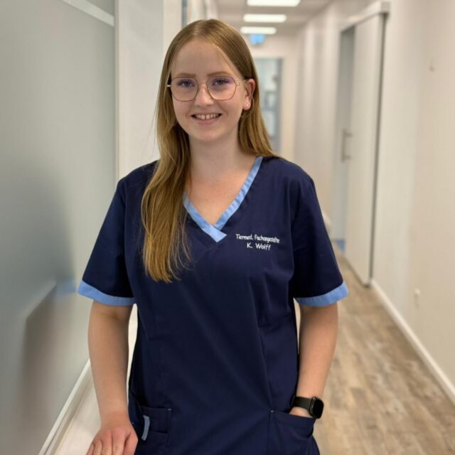 ✨ New Team Member Alert ✨

Seit dem 01.06. ist Kristina Wolff Teil unseres Teams – und wir freuen uns riesig über die Verstärkung! 🐾💙

Schön, dass du da bist, liebe Kristina!
Wir freuen uns auf die gemeinsame Zeit, viele schöne Momente im Praxisalltag und natürlich auf alles, was wir zusammen rocken werden. 🙌🐶🐱

Herzlich willkommen im Team! ✨

#teamvorstellung #tierarztpraxis #praxisteam #vetlife #tiermedizin